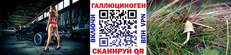 Псилоцибиновые грибы Cubensis  купить наркоту  Киреевск 